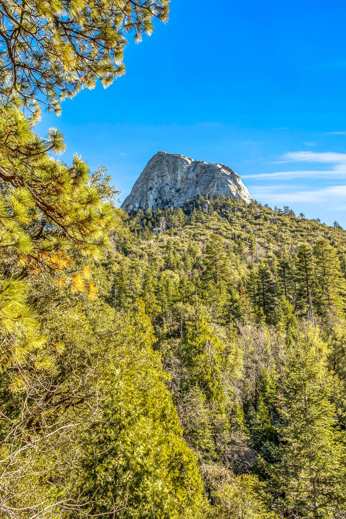 https://media.crmls.org/mediaz/640b0e15-e606-49c2-b374-cd4bfb2c1fdd.jpg?preset=X-Large