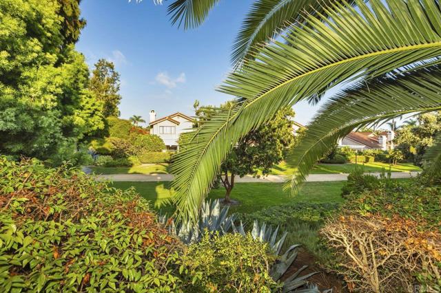 4065 Caminito Davila, San Diego CA: https://media.crmls.org/mediaz/640f6e4e-642e-4844-a9ec-7a3b5efcbd83.jpg