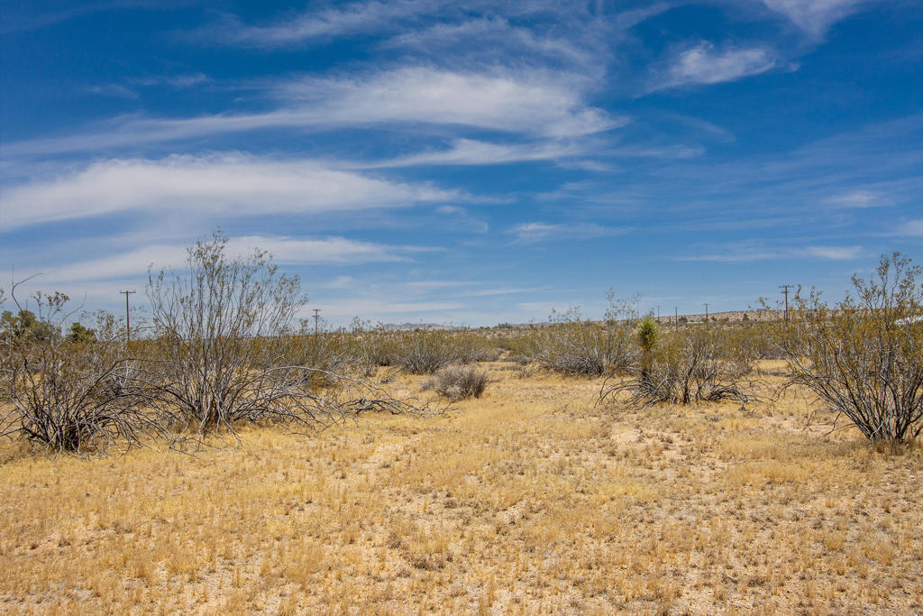 MLS #219132429PS image #1