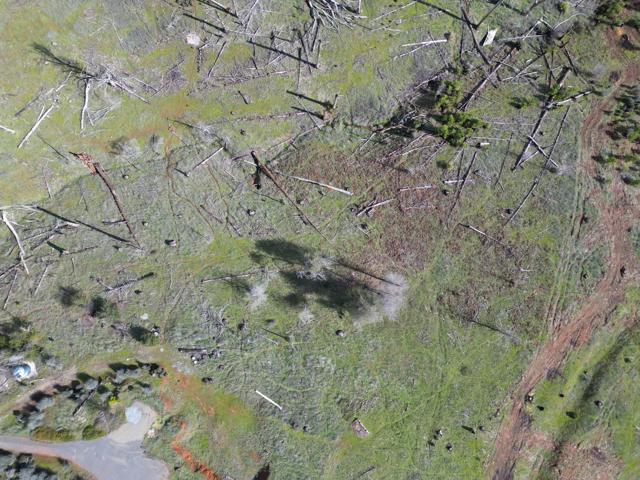 Image 9 of 24 For 5135 Old Emigrant Trail West