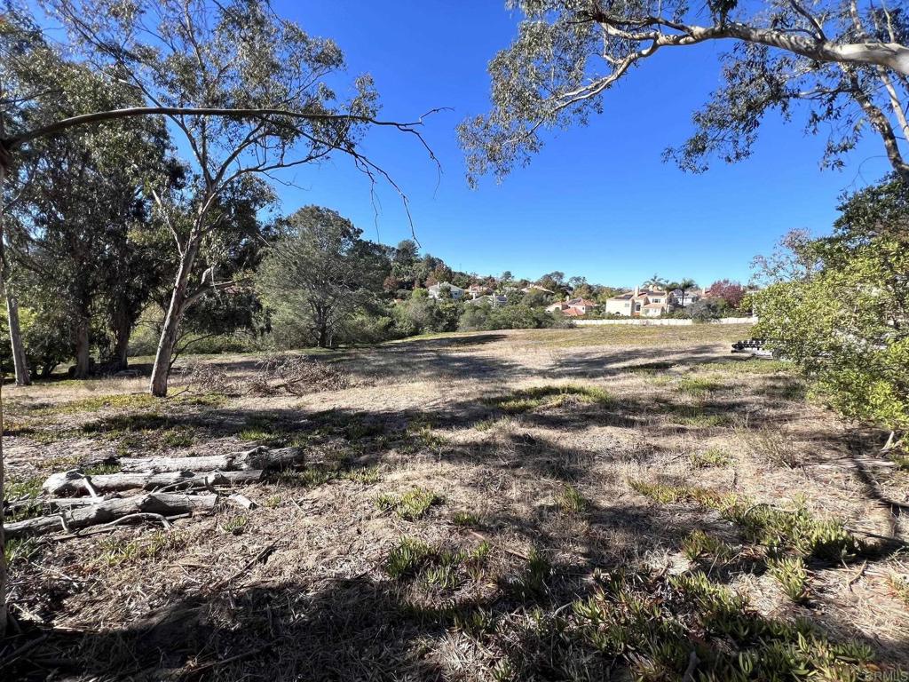 Mays Hollow Lane Encinitas - photo 5