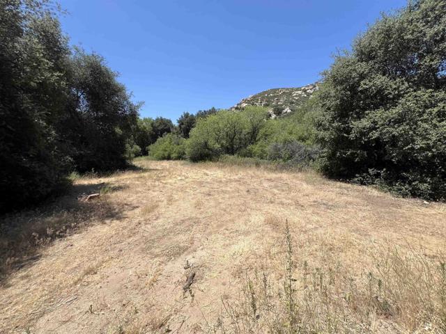 Detail Gallery Image 8 of 17 For Riverside Dr, Descanso,  CA 91916 - – Beds | – Baths