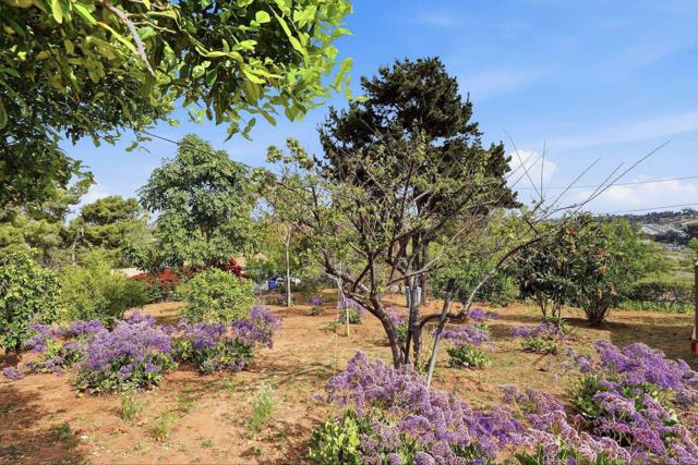 Detail Gallery Image 54 of 55 For 3861 Grandview Pl, Bonita,  CA 91902 - 4 Beds | 3 Baths