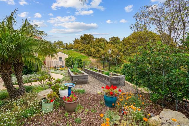 2224 Dos Lomas, Fallbrook CA: https://media.crmls.org/mediaz/6458258f-a068-4f19-ab8d-8517a4861afa.jpg