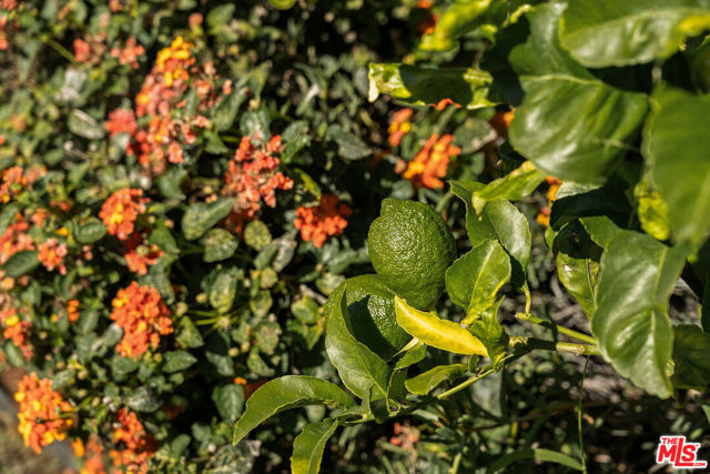 5748 7th Avenue, Los Angeles CA: https://media.crmls.org/mediaz/64923ab3-5077-4b94-83df-e32ed192373d.jpg