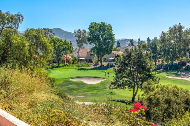 Image 42 of 53 For 12135 Caminito Corriente