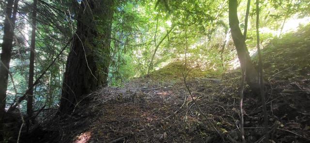 1080 Blue Ridge Drive, Boulder Creek CA: https://media.crmls.org/mediaz/649b7d52-2356-47dc-8e52-bb51974b4cdb.jpg