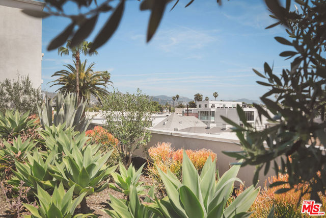 118 N Kings Road, Los Angeles CA: https://media.crmls.org/mediaz/649e3333-792e-4510-b805-dec967aec7b8.jpg