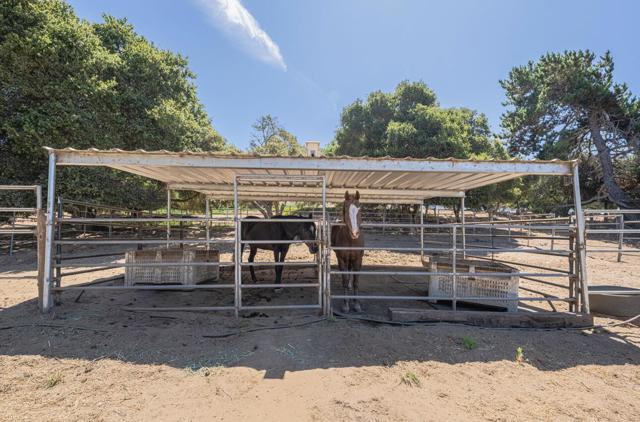 9180 Coker Road, Salinas CA: https://media.crmls.org/mediaz/64a33a85-d20c-45ec-92a3-71ca56174f24.jpg