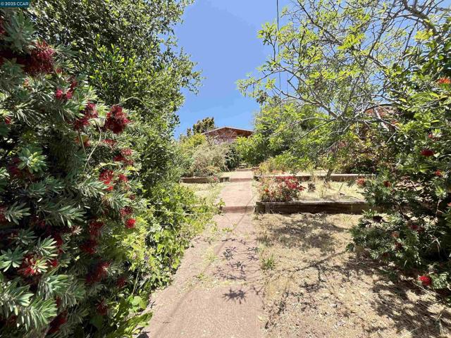 7618 Sunkist Dr, Oakland CA: https://media.crmls.org/mediaz/64a7d206-2775-49f1-8a4e-08c4c5d5e3a1.jpg