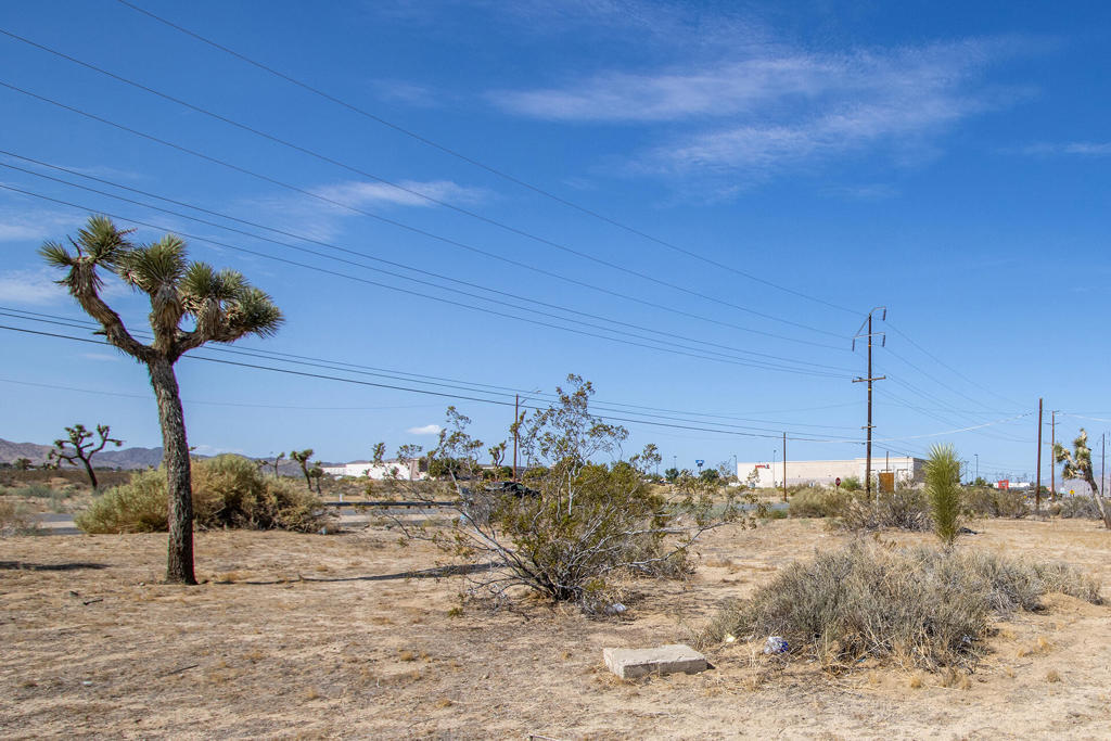 MLS #219134379DA image #11