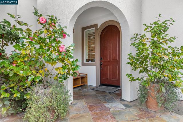 1656 Colchester St, Danville CA: https://media.crmls.org/mediaz/64b00a94-a42f-457a-be81-a814ec52cfcf.jpg