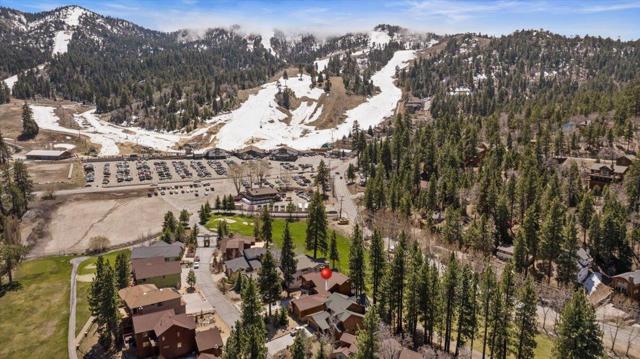 1215 Wolf Creek Court, Big Bear CA: https://media.crmls.org/mediaz/64b4e485-ab72-4e99-8f88-46321a351a14.jpg