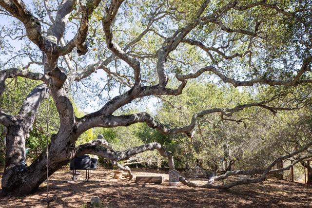 20 Marquard Road, Carmel Valley CA: https://media.crmls.org/mediaz/64bae9bb-d082-4c9f-9f25-485252fc9600.jpg
