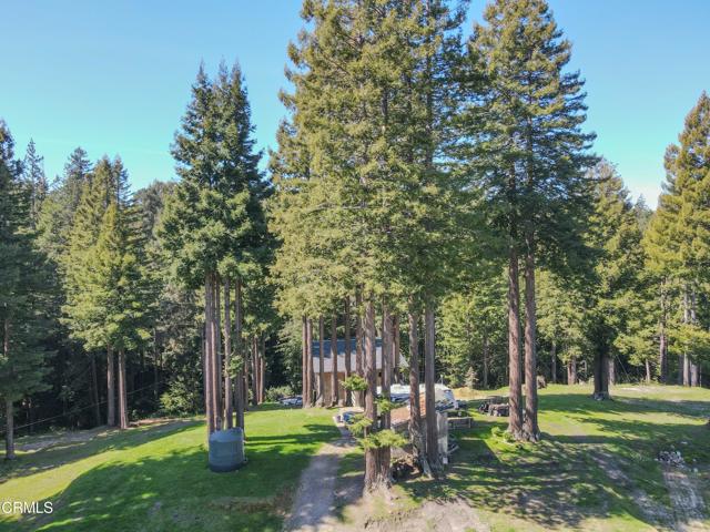 15137 Mitchell Creek Drive, Fort Bragg CA: https://media.crmls.org/mediaz/64bbacfe-99ff-4392-9506-91c0f3452f55.jpg