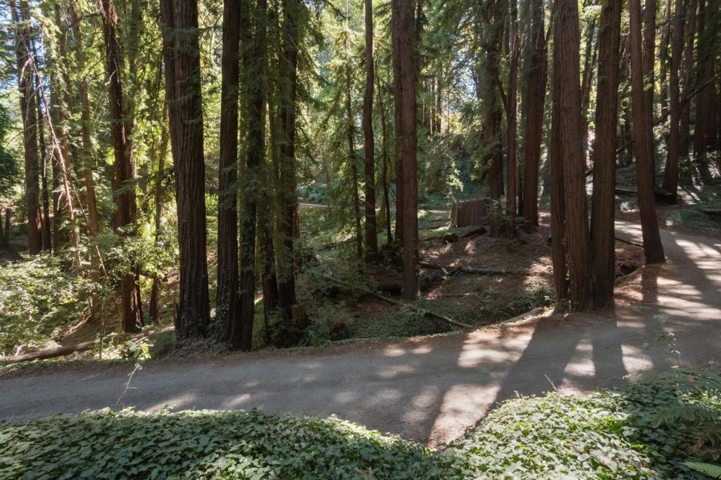 MLS #ML81988191 image #5