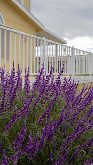 Detail Gallery Image 44 of 58 For 35109 Hwy 79 #91,  Warner Springs,  CA 92086 - 2 Beds | 2 Baths