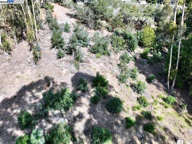 7590 Skyline Blvd, Oakland CA: https://media.crmls.org/mediaz/64c5def3-d7d9-4462-a9f9-e152c54182a6.jpg