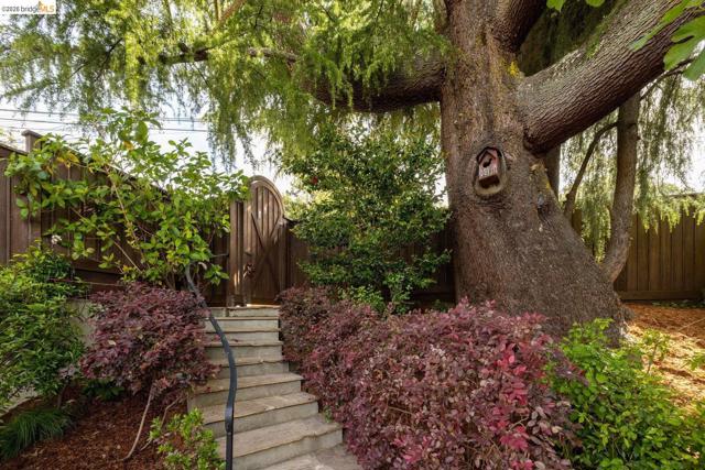 636 Euclid Ave, Berkeley CA: https://media.crmls.org/mediaz/64c5e068-94d4-4b55-9d4f-64d485d05018.jpg