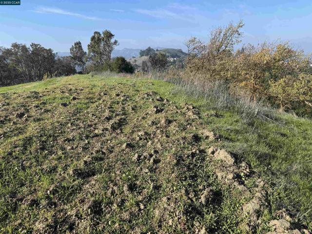 43 Cuesta way, Walnut Creek CA: https://media.crmls.org/mediaz/64c86bac-74a1-42b2-a554-4195ad5c41b7.jpg