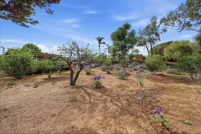 Detail Gallery Image 53 of 55 For 3861 Grandview Pl, Bonita,  CA 91902 - 4 Beds | 3 Baths