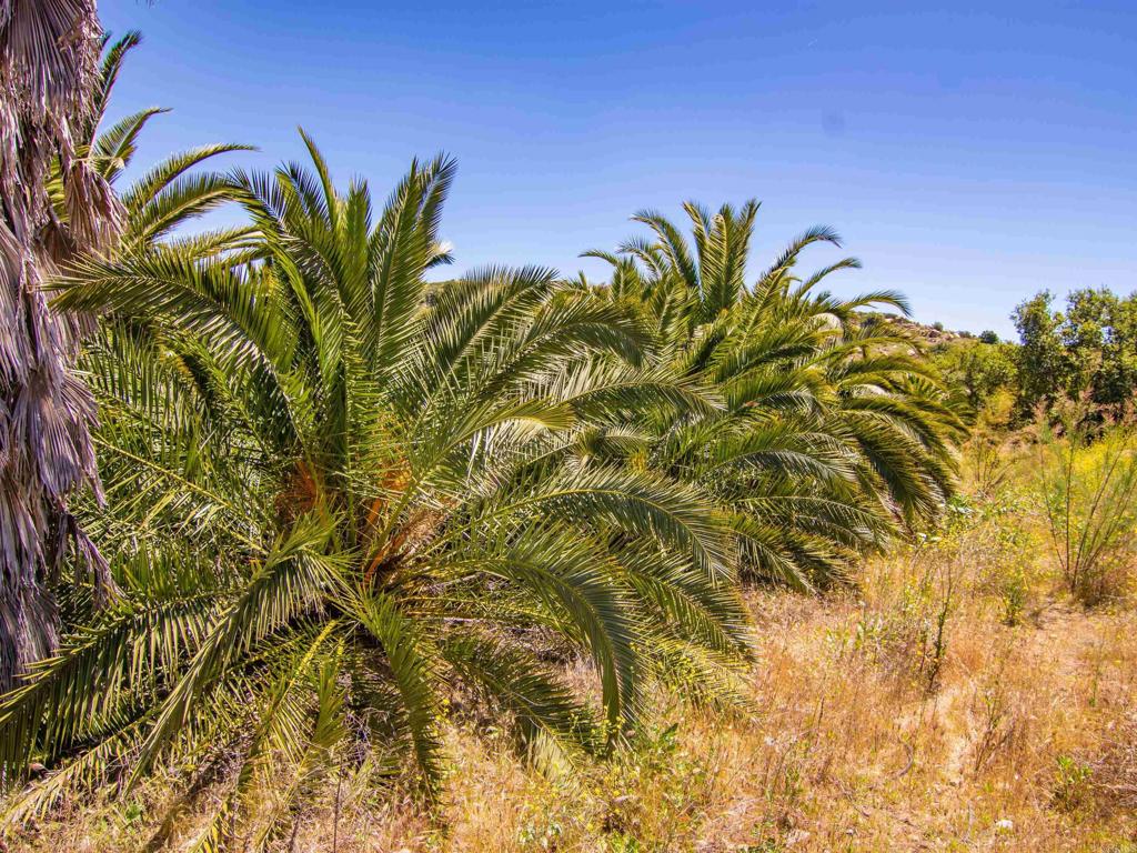 https://media.crmls.org/mediaz/64dbc2b6-7367-408a-81fe-25b594b174f5.jpg?preset=X-Large