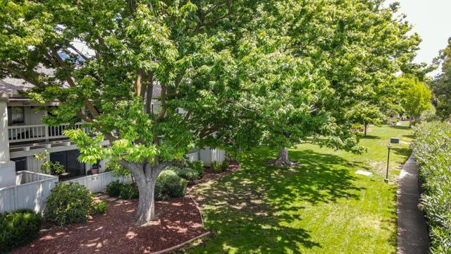 5408 Cribari Court, San Jose CA: https://media.crmls.org/mediaz/64e3ce5b-f880-4590-b883-a0353977683b.jpg