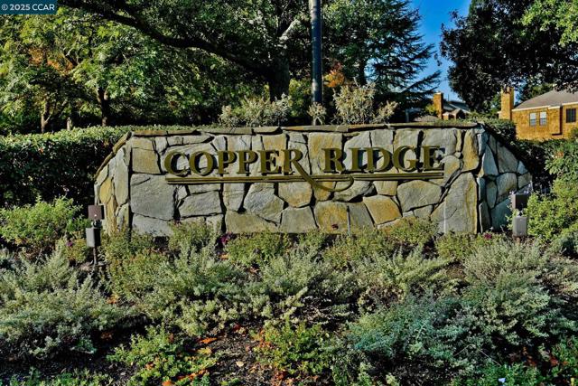 273 S Overlook Dr, San Ramon CA: https://media.crmls.org/mediaz/64f5056d-c02c-40c6-ba73-04c6f7516a76.jpg