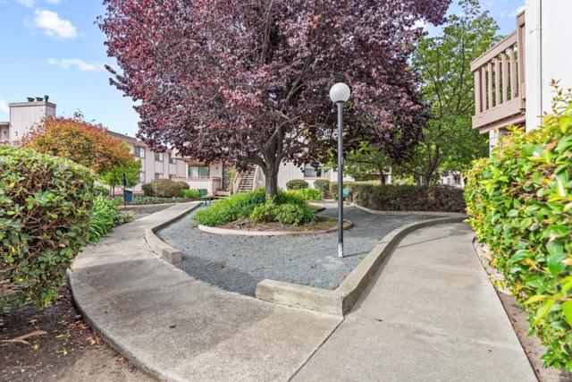 25192 Copa Del Oro Drive, Hayward CA: https://media.crmls.org/mediaz/650d0538-3a4f-44b4-9d1f-503f35f1871f.jpg