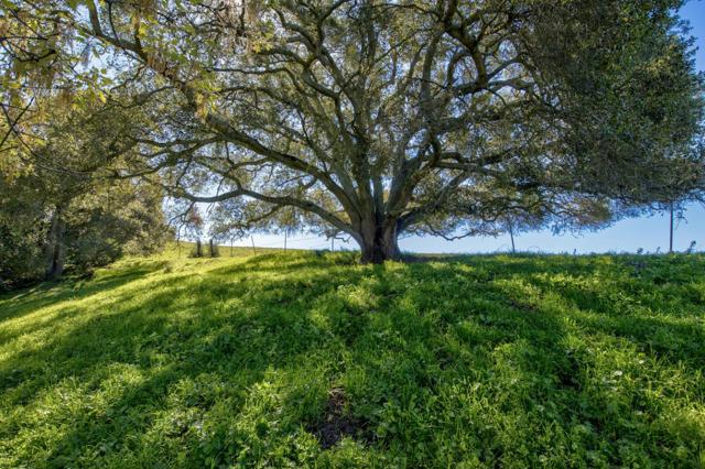 0 Bella Madeira Lane, San Jose CA: https://media.crmls.org/mediaz/6516466f-2857-4aaf-bdfc-caf89912a6d5.jpg
