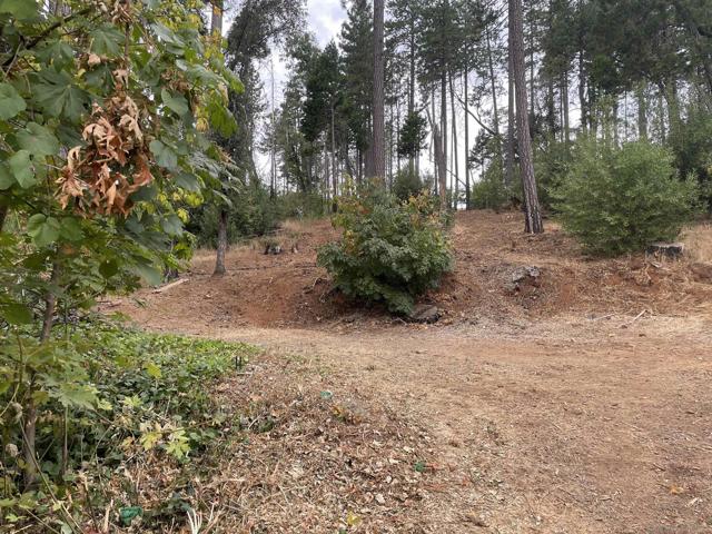 5930 Fickett Ln, Paradise CA: https://media.crmls.org/mediaz/6518d1e8-3959-4773-a1b1-544ea752ce31.jpg