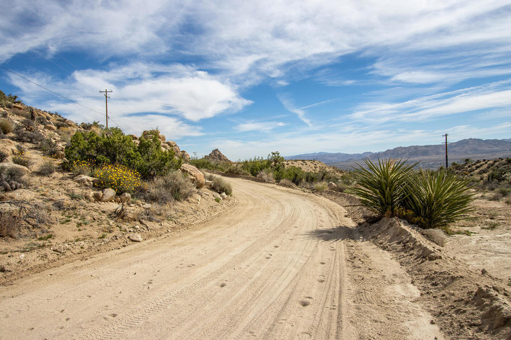 MLS #219138040PS image #13