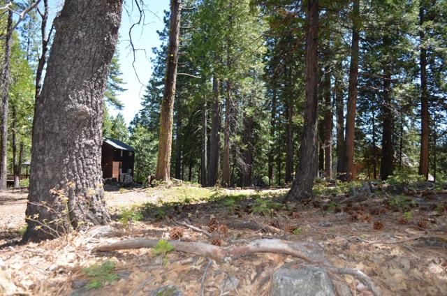 3112 Apache Road, Dorrington CA: https://media.crmls.org/mediaz/651f8723-28c0-473f-9279-a991131004dd.jpg