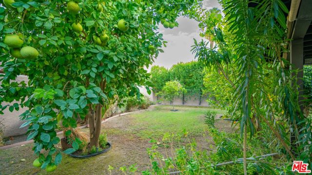 1592 S Compadre Road, Palm Springs CA: https://media.crmls.org/mediaz/65262631-0787-4fa5-95d9-69b51f9d5672.jpg