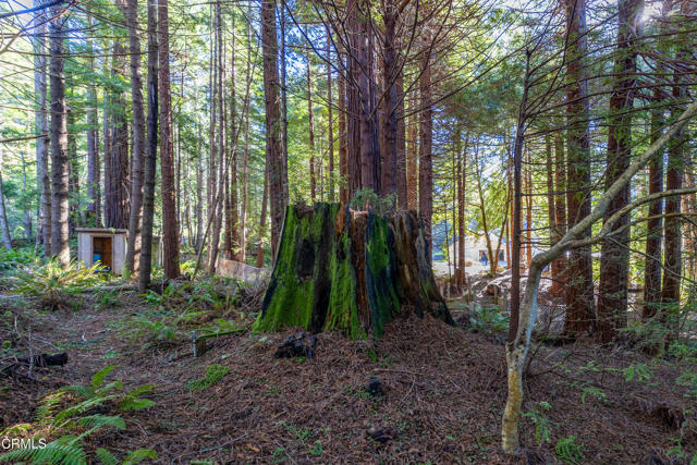 Detail Gallery Image 11 of 12 For 44720 Jack Peters Creek Rd, Mendocino,  CA 95460 - 3 Beds | 2 Baths