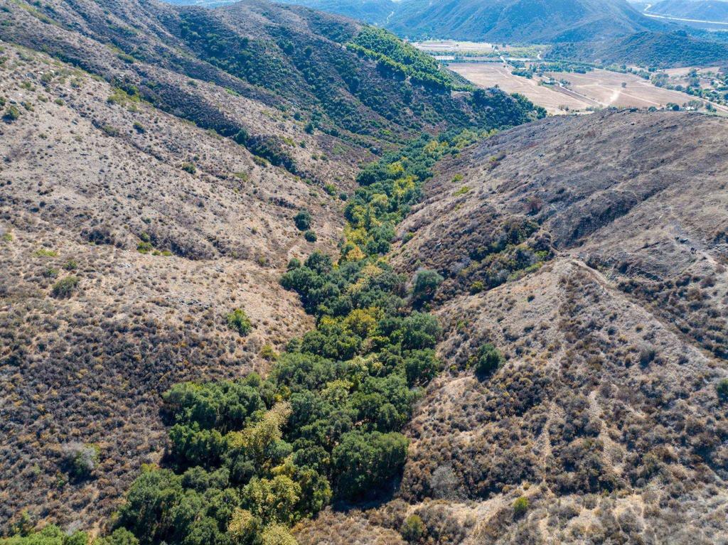 MLS #250022588SD img 11