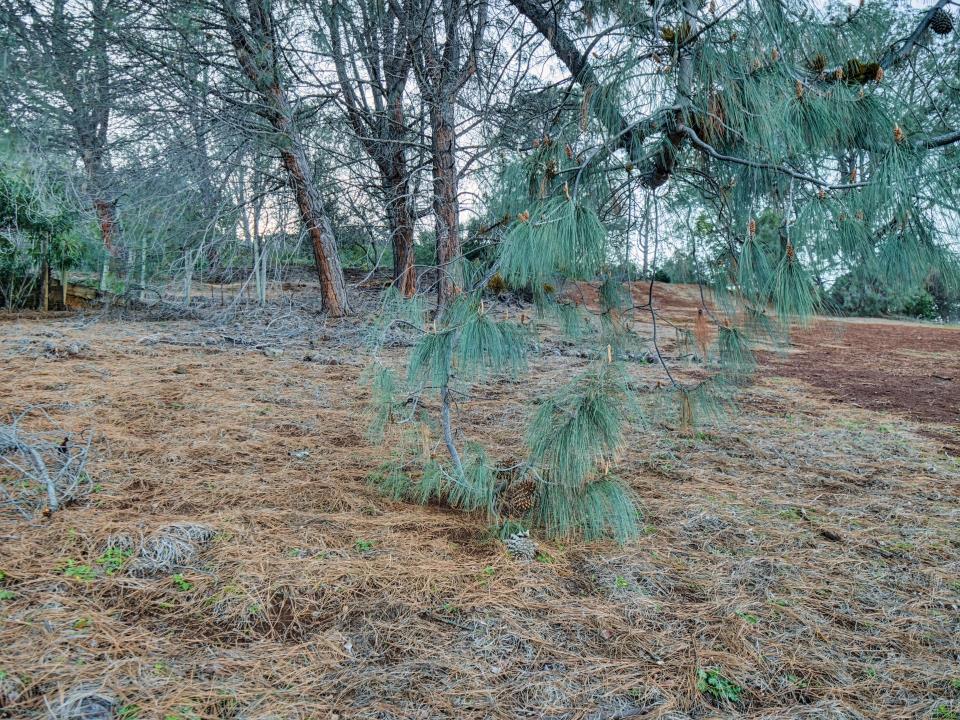 MLS #ML81988008 image #6