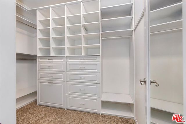 28529 Pietro Drive photo 20