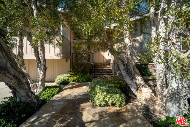 13443 Bayliss Road, Los Angeles CA: https://media.crmls.org/mediaz/653f44d4-e042-43c6-bbdd-74742b4b481b.jpg