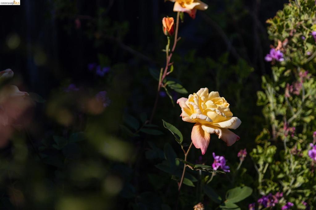 https://media.crmls.org/mediaz/65406b10-750c-46af-82fe-c3ec8435cdfe.jpg?preset=X-Large