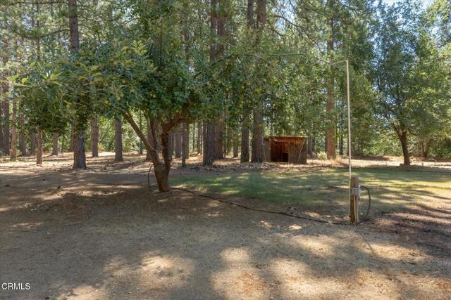 Detail Gallery Image 30 of 37 For 1997 Independence Cemetary Rd, Rail Road Flat,  CA 95248 - 3 Beds | 2 Baths