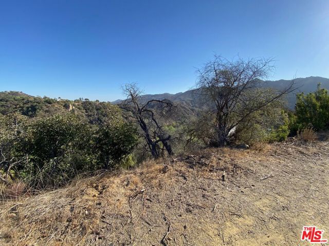 0 Mount Prospect/Topanga Skyline Drive photo 12