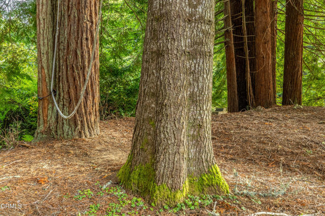 16611 Pearl Ranch Road, Fort Bragg CA: https://media.crmls.org/mediaz/654779ff-3136-41a8-ab6c-7e09a772b66c.jpg
