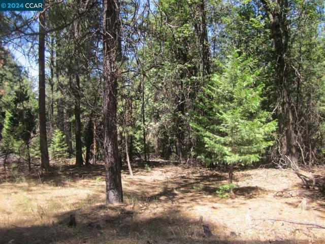 Image 5 of 7 For 9893 Grizzly Flat Rd