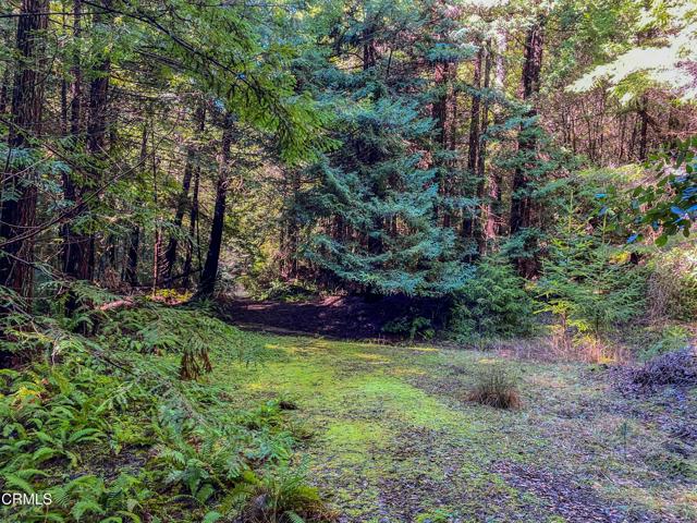 0 Irmulco Road, Willits CA: https://media.crmls.org/mediaz/65544087-fca6-4860-99ef-c7bc7f43e36d.jpg