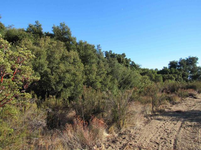 Detail Gallery Image 7 of 19 For 2115 N Campo Truck Trail, Campo,  CA 91906 - – Beds | – Baths