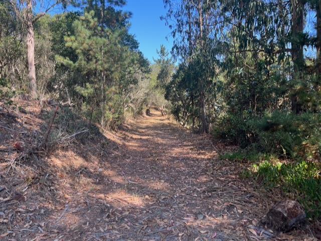 0 Castroville Boulevard, Salinas CA: https://media.crmls.org/mediaz/65638787-2283-41b4-85fc-8bd853042447.jpg