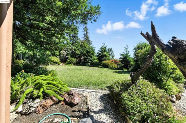 3112 View Drive, Antioch CA: https://media.crmls.org/mediaz/6564b385-b6c1-475a-9aea-6adae840038b.jpg