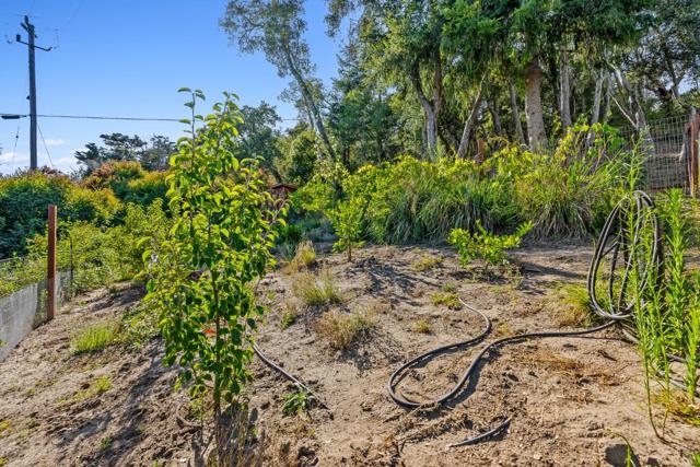 579 San Juan, Corralitos CA: https://media.crmls.org/mediaz/6565f498-d0dc-4fde-b64b-a22e47946298.jpg