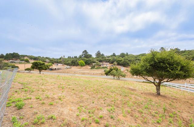 19400 Eden Court, Salinas CA: https://media.crmls.org/mediaz/6569c574-e5f2-41bc-aa97-0f61ee2e959d.jpg